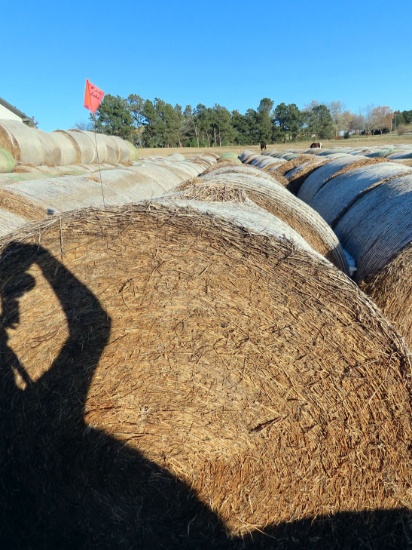 (23) 2019 Alfalfa  Hay Round Bales (Approx. 2,000 lbs. per Bale).