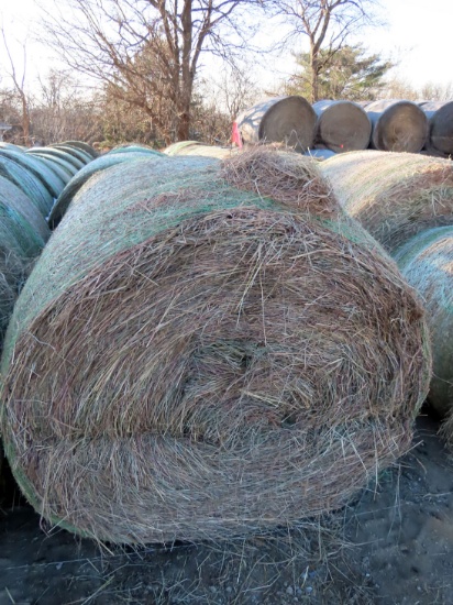 (9) 2019 Grass Hay Round Bales (Approx. 2,000 lbs. per Bale).