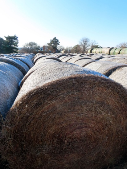 (23) 2019 Grass Hay Round Bales (Approx. 2,000 lbs. per Bale).