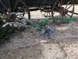 Antique John Deere Walking Plow.