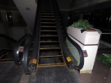 (2) 1986 Escalators from 2nd Floor to 3rd Floor, Glass Safety Panels, Hitac