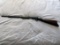 Winchester Model 1906 Slide Action Rifle, SN# 190603, .22 Short, Flip Up Rear Peep Site, Hammer, Oct