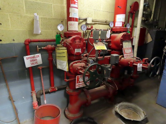 Fire Suppression Control Pumps with Gate Valves, 7" Pipe, 8" Pipe, (2) Pott