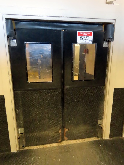 58" Swinging Resin Double Doors with Carpet Kick Pads & Plexi Glass Inserts