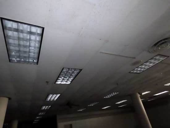 (22) Florescent Flush Mount Lights.