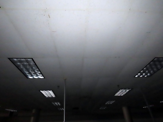 (27) Florescent Flush Mount Lights.