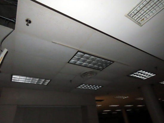 (30) Florescent Flush Mount Lights.