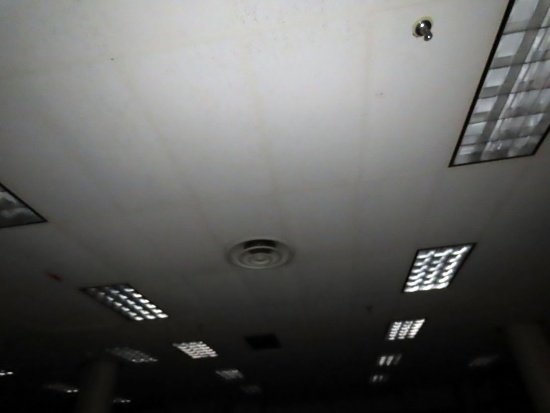 (45) Florescent Flush Mount Lights.