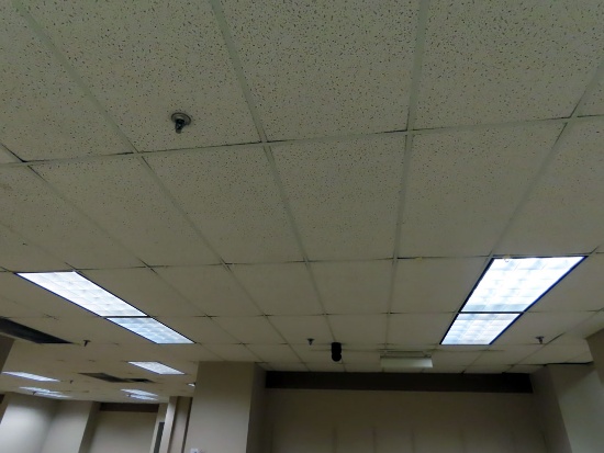 (118) 4' Florescent Flush Mount Lights in Shoe Section (West Section of 2nd
