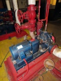 Weiman Centrifugal Water Pump with Marathon 10HP Electric Motor, 1,765RPM,