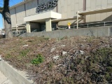 Limestone Landscape Rocks (Everything around Sears Automotive.