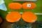 (2) Orange Bar Stools with Padded Seats & Backs.