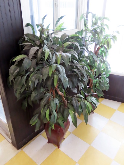 (2) 5' Silk DŽcor Plants.