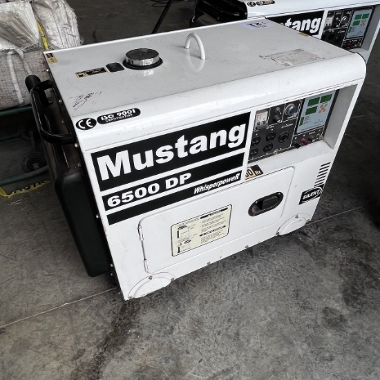 Mustang 6500DP Diesel Generator