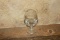 (72) 10.5oz Teardrop Banquet Goblet Glasses