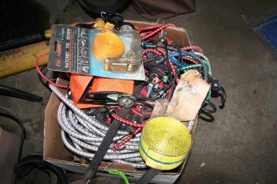 Lot: Ratcheting Tie Downs & Bungee Cords