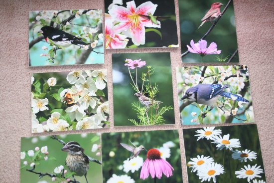 (9) Spring-Themed Nature Matte-Framed Photographs on Foamboard