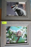 (2) Framed Robert Lyons Photographs