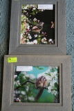 (2) Framed Photographs by Robert Lyons