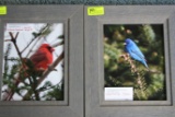 (2) Framed Photographs by Robert Lyons