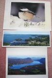 (3) Printed Posters of Robert Lyons Photographs