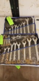 (22) Asst. Combination Wrenches