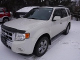 2010 Ford Escape