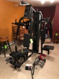 Schwinn Multi Gym & Access