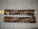 Pair of Shock Springs