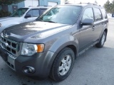 2011 Ford Escape