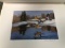 Limited Edition Duck Stamp Print & Stamp - Vermont 1993