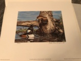 Limited Edition Duck Stamp Print & Stamp - Vermont 1991