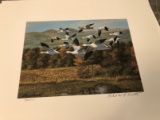 Limited Edition Duck Stamp Print & Stamp - Vermont 1992