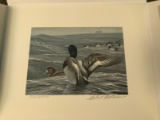 Limited Edition Duck Stamp Print & Stamp - New York 1989