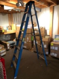 Werner 8' Ladder & Husky 6' Ladder