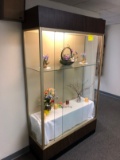 Lighted Display Case