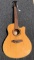 Ibanez AE 12 String Acoustic/Electric Guitar