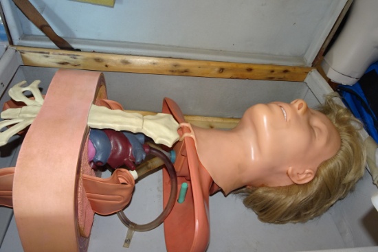 Vintage CPR Torso