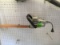 Echo EHC-2000 Electric Hedge Trimmer