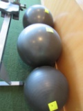 (3) Exercise Balls