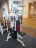 Life Fitness Strength Rear Deltoid / Pectoral Fly Machine