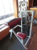 Flex Seated Curling Machine / Bicep Machine