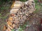 1/4 Cord Of Cut & Split Firewood