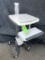 Ergotron Mobile Work Station