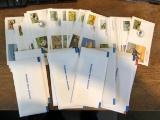 Collection of UN Animals First Day Issue Envelopes