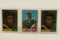 (3) Roberto Clemente Baseball Cards