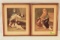 Pair of Antique Fancy Pigeon Lithographs