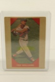 Ted Williams Baseball Card