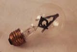 Masonic Light Bulb