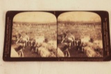 Stereo View Card depicting the Union Stockyards, Chicago